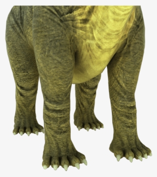 Brontosaurus Apatosaurus 3d Model - Terrestrial Animal