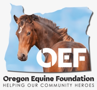 Gold Horseshoe Members - Sorrel