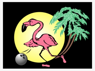 Flamingo Bowl-01 - Flamingo Bowl