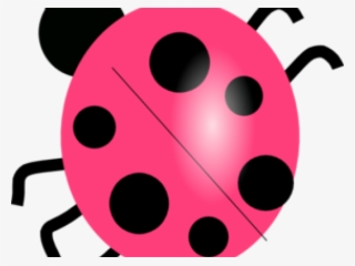 Ladybug Clipart Colored - Clip Art