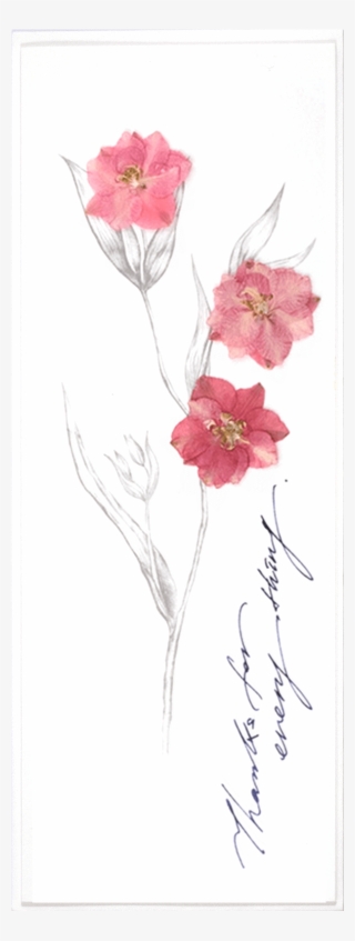 Pink Flower Sketch - Bouquet