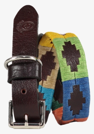 Arco Iris Polo Dog Collar - Buckle