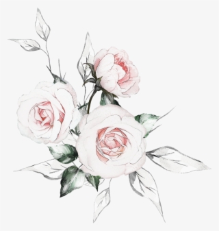 Фотки Watercolor Drawing, Floral Watercolor, Botanical - Hybrid Tea Rose