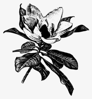 At Julep Floral, We View Ourselves As Not Just Florists - Illustration