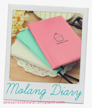 It's The Molang Diary, A Diary That I Use Like A Planner - Craft