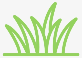 Raw & Organic 5 Grass Blend - French Words That Start With H