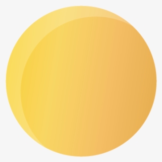 What Is Synapsis - Circle