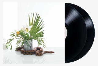 Bad Actors - Noah Gundersen White Noise Album Cover