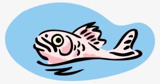 Vector Illustration Of Surfacing Fish Swims On Water