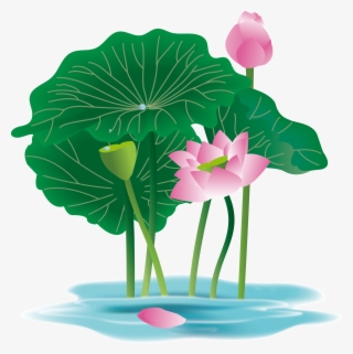 Hand Painted Plant Flower Water Lily Png And Vector - Anthurium