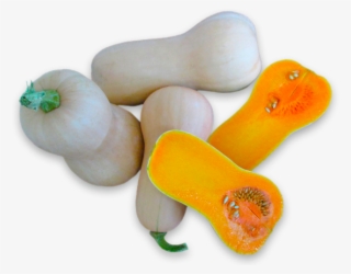 Calabaza - Butternut Squash