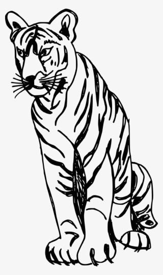 Free Download - Illustration