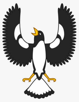 Beak Clipart Shrike - Piping Shrike Clip Art