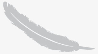 Feather Png - Illustration