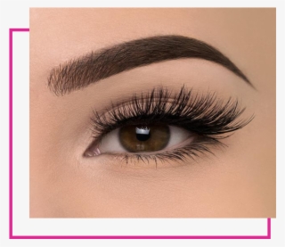 Book Appointment - Fake Lashes