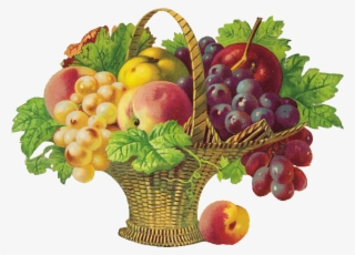 Picture Transparent Stock Basket Of Png D Coupage Fruits - Get Well Soon Fruits