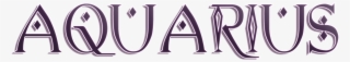 Styled Aquarius Logo - Graphic Design