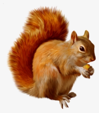 534 X 600 5 - Animals Images Hd Png