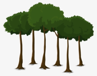 Tree Graphic Png