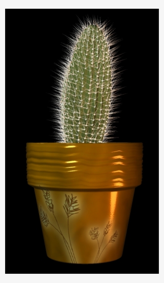 All Our Pngs Are Free To Download And Use - Large-flowered Cactus