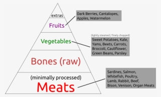 The Ultimate Diet Raw Food Pyramid - Diagram