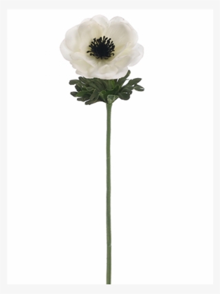 14" Real Touch Anemone Spray White - White Anemone Flower Png