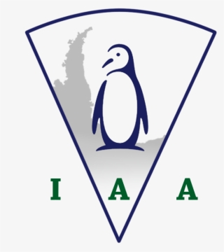 Instituto Antartida Argentina - Adã©lie Penguin