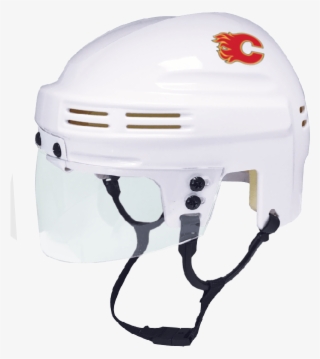 National Hockey League