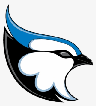 Bank Athletic Knit Ak Blue