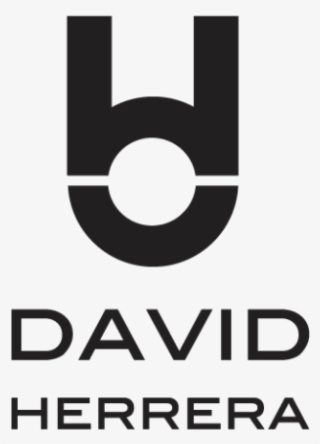 David Photographer Logo Design - Circle