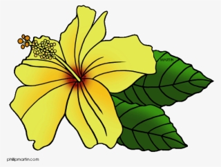 Yellow Flower Png Banner Hawaii - Hawaii State Flower Clip Art