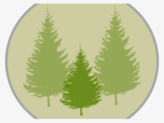 Pine Tree Clipart Png Black And White
