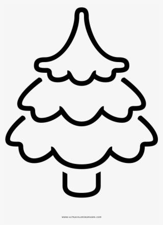 Pine Tree Coloring Page