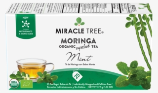 Organic Moringa Superfood Tea, 25 Individually Sealed - Miracle Tree Moringa Organic Superfood Tea