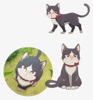 Https - //rei - Animecharactersdatabase - Com/uploads/chars/18137- - My Roommate Is A Cat Haru