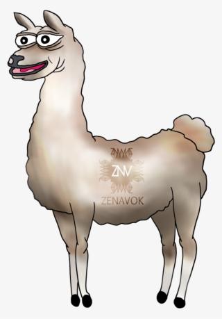 Png - Llama Meme Png
