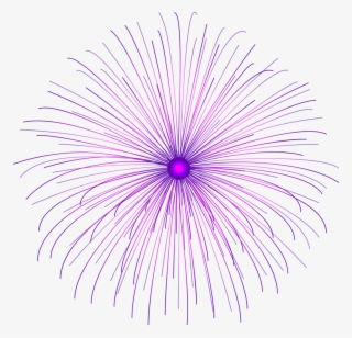 Purple Fireworks Transparent Background