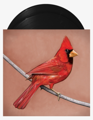 Alexisonfire Old Crows Young Cardinals