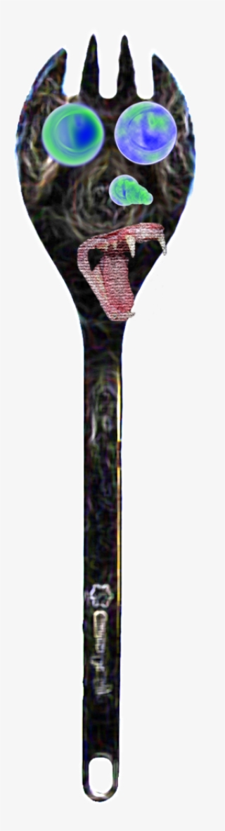 Field Assignment - Domestic Short-haired Cat