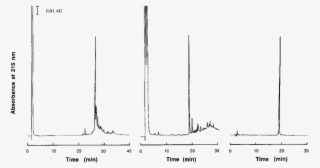Three Chromatography Steps Of Purification Of The Synthetic - Boat