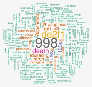 Stem Loop Sequence Dme Mir - Circle