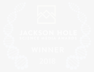 Pitchfork Top 100 Tracks 2011