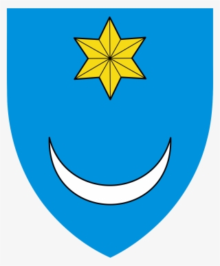 Targu Mures Historical Society - Croatia Coat Of Arms Star