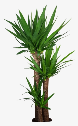 110 Cm - Corn Stalk Dracaena Silk Plant