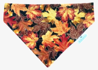 Paws And Claws Bandana Autumn Leaves - Board Short
