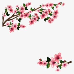 Japanese Flowering Cherry Png Transparent Image - Vector Cherry Blossom Design