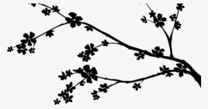 Cherry Blossom Branch - Perfect Cherry Blossom