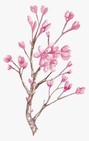 Hand Painted Winter Plum Blossom Branch Png Transparent - Watercolor Painting