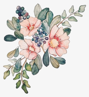 Watercolor Watercolour Woter Water Rose Flowers Flower