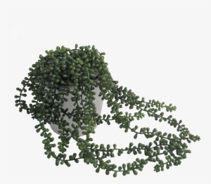 String Of Pearls Succulent - Faux Potted Trailing Succulent